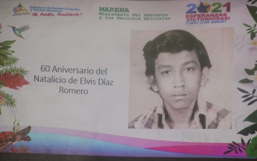 ELVIS